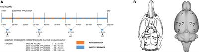 Underlying pharmacological mechanisms of psilocin-induced broadband desynchronization and disconnection of EEG in rats